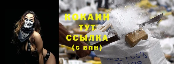 хмурый Верея