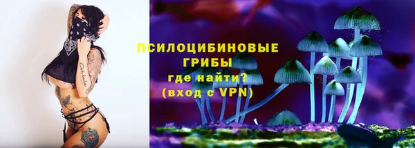хмурый Верея