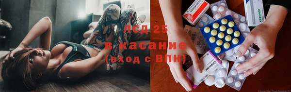 ПСИЛОЦИБИНОВЫЕ ГРИБЫ Волоколамск