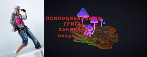 mdpv Верхний Тагил