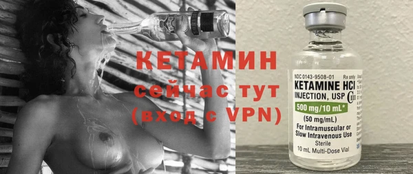 хмурый Верея