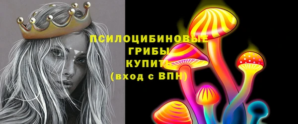 хмурый Верея