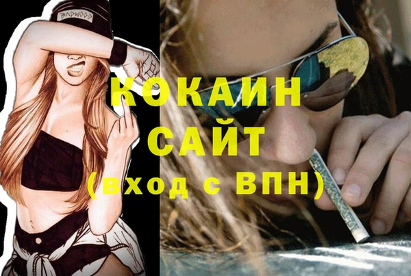хмурый Верея